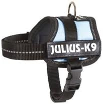 Julius-K9 Powerharness, baby 1, blue-sky