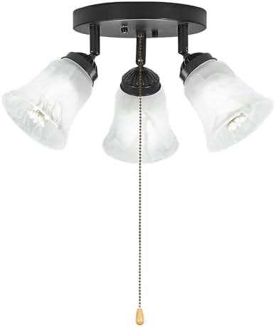 3-Light Flush Mount Ceiling Light with Pull Chain Alabaster Glass Low Profile Lighting Fixtures for Kitchen Living Room Dining Room Closet, Black