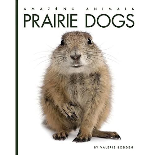 Prairie Dogs Amazing Animals Paperback March 12, 2019