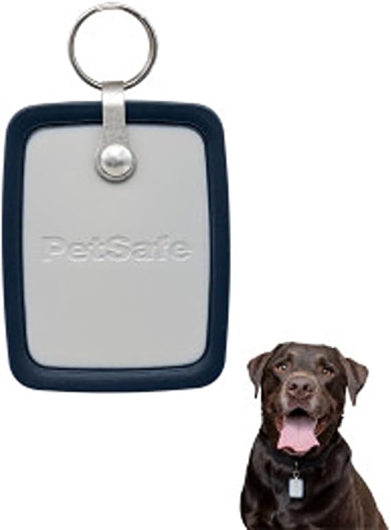PetSafe SmartDoor Connected Pet Door Collar Key, Large, ZAC19-17682