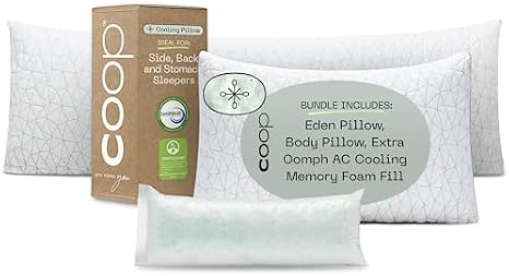 Coop Home Goods Eden Pillow and Body Pillow Queen Bundle