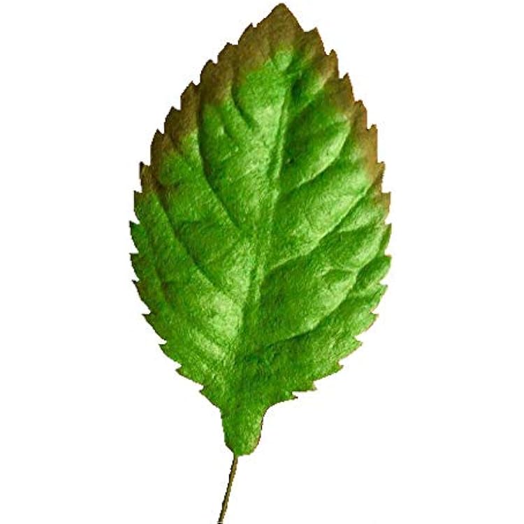 50 Pcs Mixed Rose Leaves Mulberry Paper Artificial Leaf, Mulberry Paper Leaves