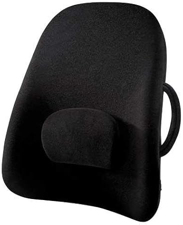 The ObusForme Lowback Backrest Support System