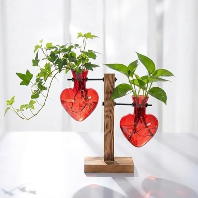 Remerry Red Heart Plant Terrarium with Wooden Stand 2 Heart Glass Vases Planter Propagation Station Tabletop Planter for Hydroponics Decor Plant Lover Gift