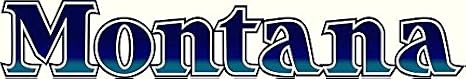 Montana 1 RV Trailer Keystone Logo Decal Graphic -950-3