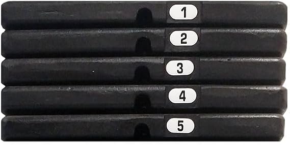 Body-Solid 50 Pound Weight Stack Add On Kit, Powerline Home Gym Machine Equipment, Cable Machine Add-On Weights Set Includes 5 Cast Iron Plates, Midnight Black