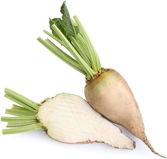 Sugar Beets, 100+ Heriloom Seeds Per Packet, (Isla's Garden Seeds), Non GMO Seeds, Botanical Name: Beta vulgaris subsp. vulgaris convar. vulgaris VAR. altissima