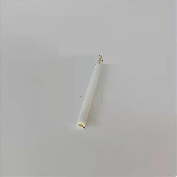 3mm Gold Electrode/Gold Disk Electrode/Gold Electrode/Laboratory Metal Disk Electrode can be Customized and invoiced(3MM)