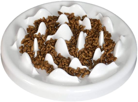 Lorde Slow Feeder Cat Bowls, Ceramic Fun Slow Feed Interactive Bloat Stop Puzzle Cat Bowl Healthy Eating Diet Pet Dog Slow Feeding Bowls...
