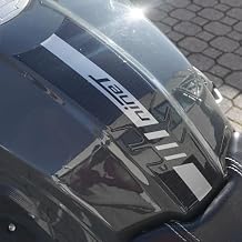 labelbike - 3D Sticker Motorcycle Fuel Tank Pad Protection and Decoration in Resin Compatible with BMW R nineT
