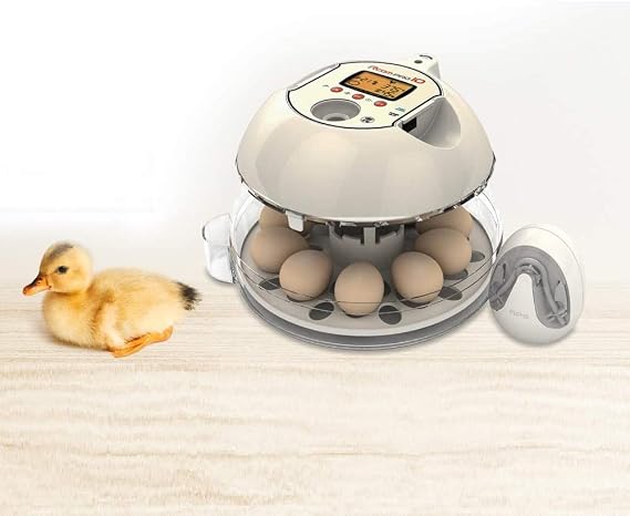 Arcom Rcom 10 Series Small Egg Incubator Alcom Rcom Pro 10 Small Automatic Egg Incubator Egg Fluff/Egg Shaker
