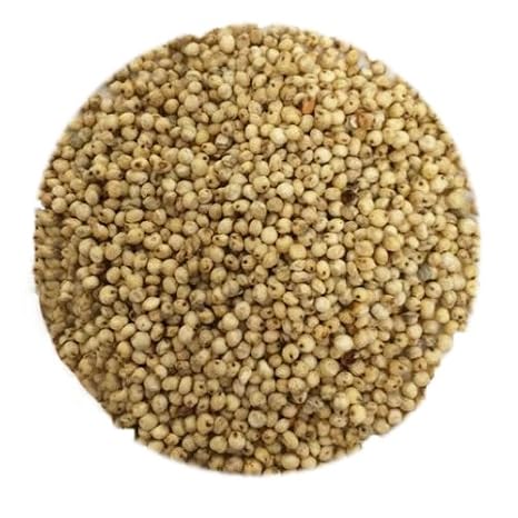 OliveNation Sorghum (popping) - 16 oz