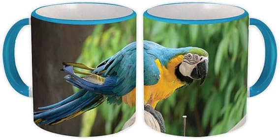 Macaw : Gift Mug Bird Parrot Nature Tropical Brazil Mexico Rica Florida - White w/Blue Handle
