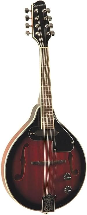 Savannah SA-115-E Madison Mandolin