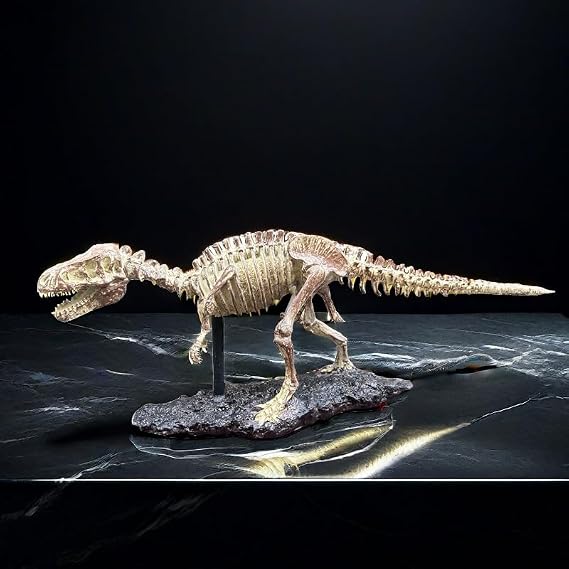 Tyrannosaurus Rex Dinosaur Skeleton Sculpture