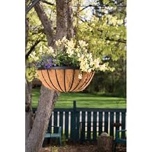 Panacea 88536 Cotsworld Series Hanging Basket with Liner, 18-Inch