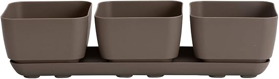 Novelty 10013 Herb & Succulent Trio Planter, Taupe