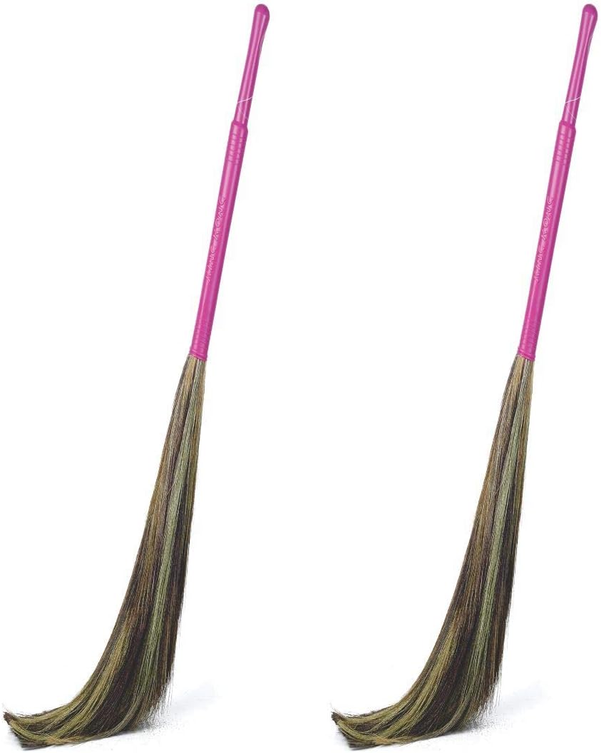 Gala King Kong Grass Floor Broom (Pack Of 2)