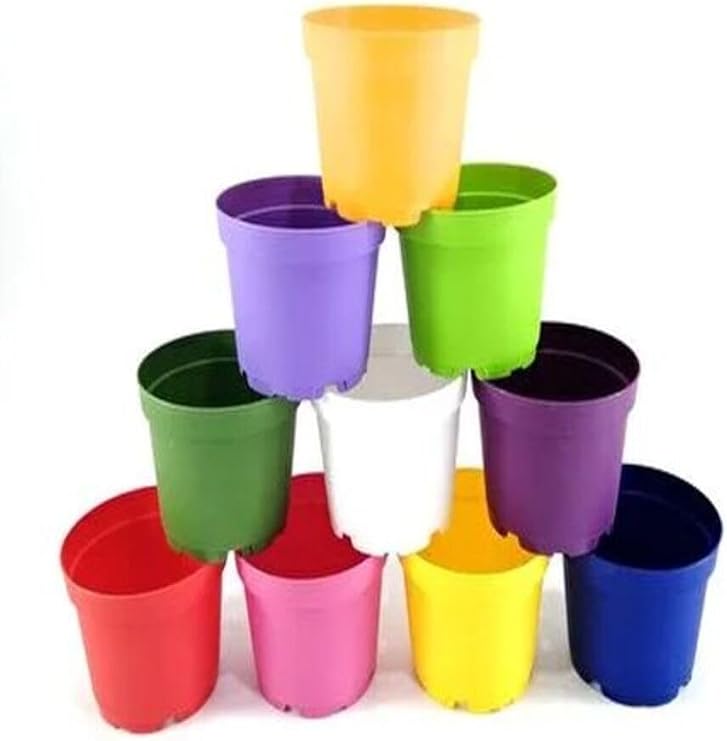 Katı Plastik Sukulent Saksısı, 15 Adet, Çok Renkli, 8,5 cm