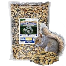 CountryMax Backyard Seeds Squirrel & Chipmunk Food Mix 8 lb Bag Premium Wildlife Blend with Sunflower Seeds, Peanuts & Corn Ideal for Squirrels, Chipmunks, Rabbits & Backyard Birds