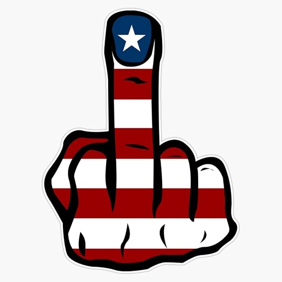 Middle Finger Usa Vinyl Decal Wall Laptop Bumper Sticker 5in(RDB-USA-STICKERS-0230)