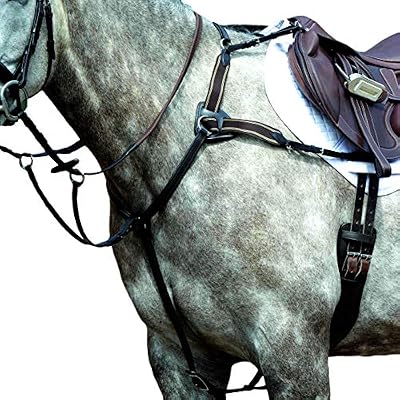 Collegiate Essential 5-Point Breastplate, Brown, Full