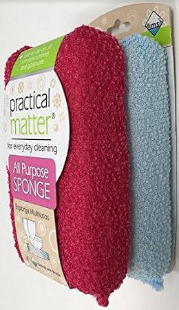 Cleanlogic Practical Matter Fiber Sponge, 2 Count