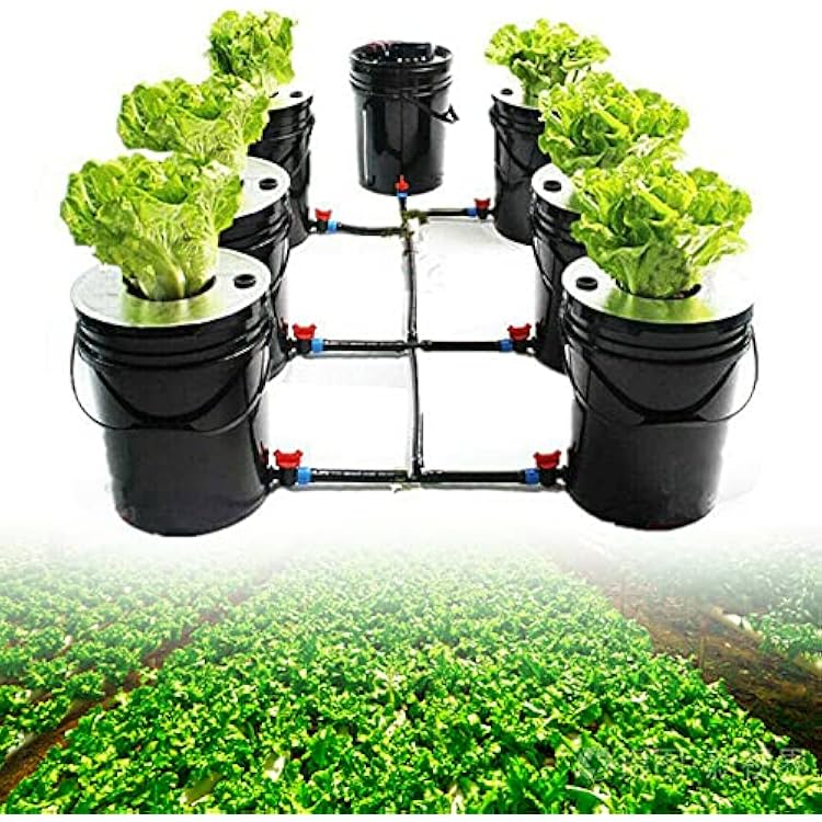 6 Pots Hydroponic Grow DWC System Deep Water Recirculating Culture Plants Growing System Kit 20L 5 Gallon