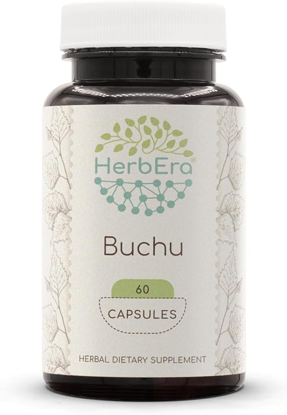 HerbEra Buchu 60 Capsules, 500 mg, Buchu (Agathosma Betulina) Dried Leaf (60 Capsules)