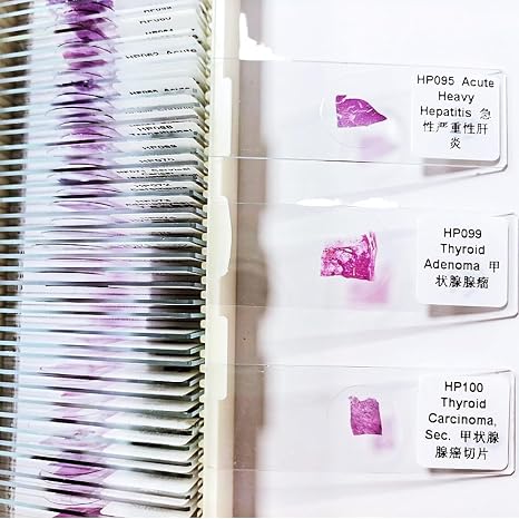 100pcs/box Histopathological Pathology Prepared Microscope Slides Set