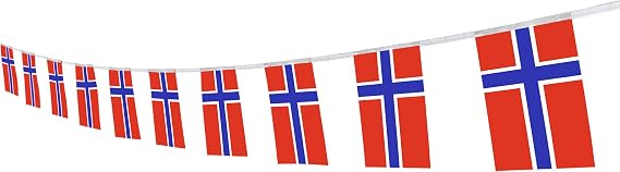 Norway Flag Norwegian Flag,100Feet/76Pcs National Country World Pennant Flags Banner,Party Decorations Supplies for,Bar,Indoor and Outdoor Flags,Festival