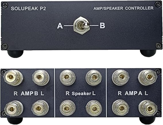 P2 2 Way Amp/Speaker Switch Selector Box, Passive Audio Switcher