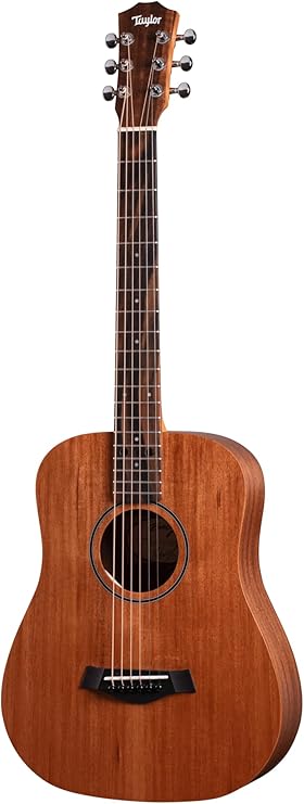 Taylor BT2 - Mahogany Top