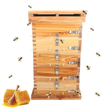 Beehive Box, 3/5 Floor, Includes Observation Window, Hive Box, Heavy Box Type, Beekeeping Equipment, Cedar Wood, Beehive Hive, Trellis Box, Boiled Wax, Bee Breeding, No Hive Frame Required