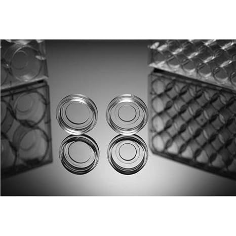 Nest Scientific 801004 TC-Treated Cell Culture Plate, Sterile, 6 Well, 20 mm Diameter, Glass, Clear (Pack of 10)