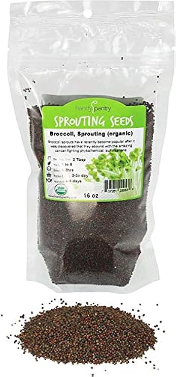 Handy Pantry Broccoli Sprouts Seed Organic - 1 Lb - Non-GMO Broccoli Seeds