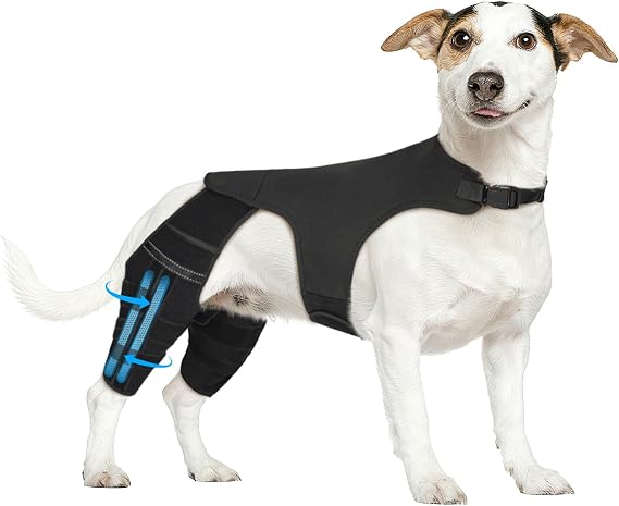Dog Knee Brace for Back Leg,Adjustable Hip Support for Dogs(Solid Black,XS)