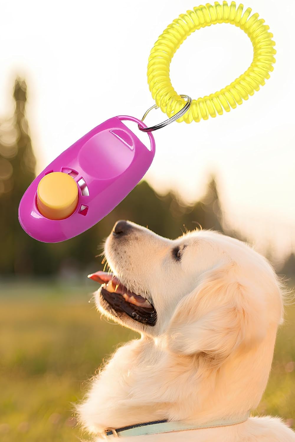 Mobee Dog Training Clicker Collar Can Be Used Dog Training Apparatus For Toilet Training