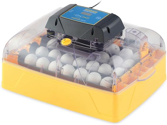 Brinsea Ovation 28 Eco Egg Incubator with Automatic Egg Turning Control, Digital Display, and Internal/External Temperature Alarms for Hatching 28 Chicken, Duck, Other Bird Eggs
