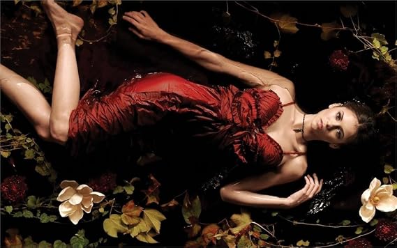 Da Bang The Vampire Diaries Nina Dobrev A Woman An Actress 20X30 Inch Poster Print