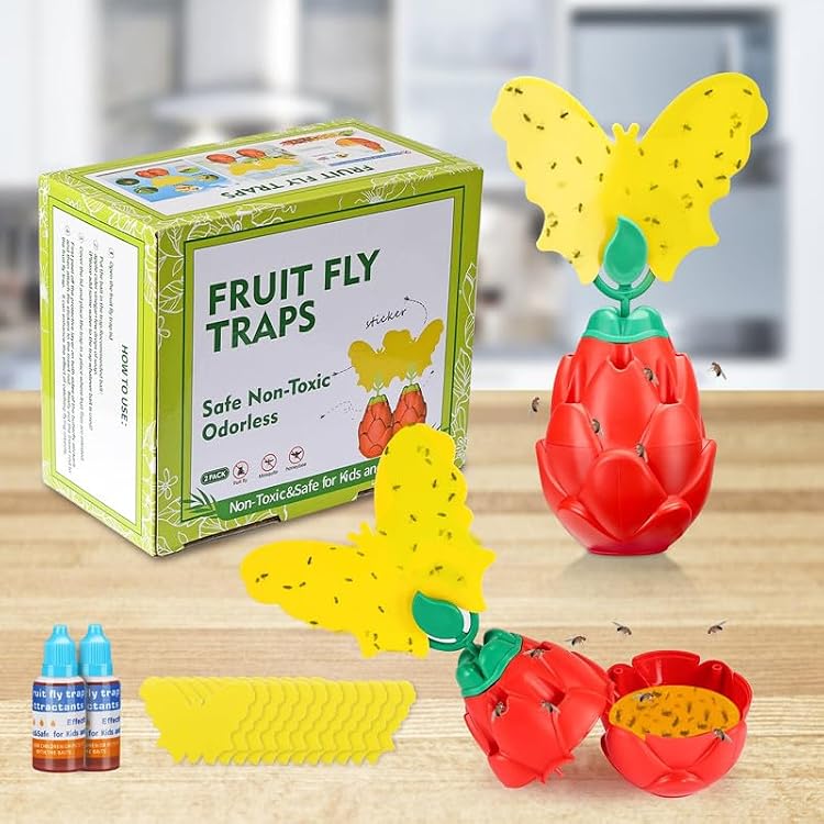 2 Pcs Fruit Fly Trap with 12Pcs Sticker and 2 Pcs Bait, Effective Gnat Traps for House Indoor Use with 2 Fruit Fly Trap Refill Liquid