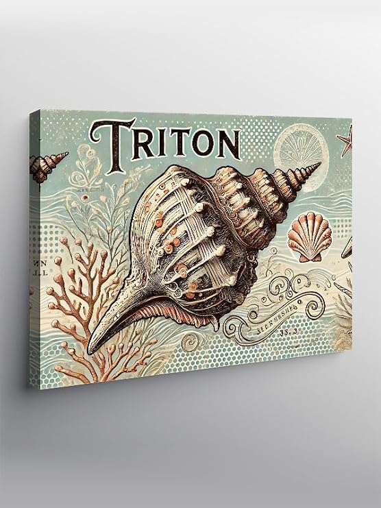 Tablo Mega Kanvas Tablo Triton Deniz Kabukları YTCNVS504510, 70 x 100