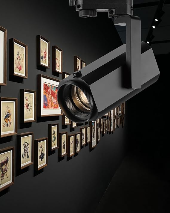 Adjustable Ceiling Spotlight, 24W LED Track Lighting, Dimming Zoom Light ith 12 to 60 Adjustable Beam Angle, Art Display Light for Museum Artworking