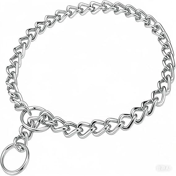 Chain Choker Collar for Dogs, Metal Slip Link Training Heavy Duty Dog Choke Collar Martingale Puppy Collars for Small Medium Large Big XL Breed Dogs (Silver, XL)