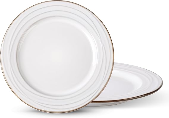 GBhome Ceramic Salad Plates Set of 2, 8.5in Ceramic Plates Dishwasher & Microwave Safe