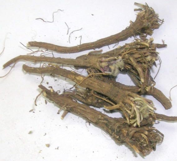 Veena Organicgreen Herb Akarkara Root | Anacyclus Pyrethrum | Akarkara Root (100 Gram)