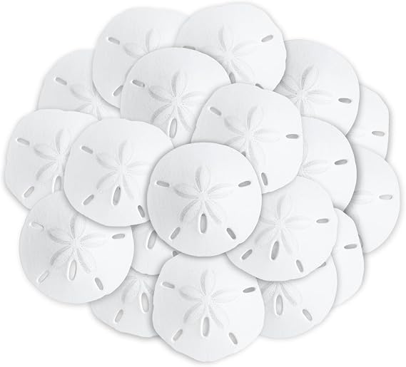 Real Sand Dollars 1.5" to 2" (30 Pack) Sand Dollar Wall Art & Ornament Set Beach Wedding Decor Nautical Party Table Decor Mini Shells for Crafts Coastal Gifts