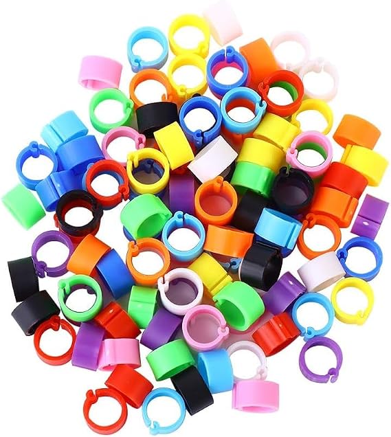 100 Pcs 8 MM Multicolor Poultry Leg Rings, 10 Colors Poultry Foot Rings Bird Identification Leg Bands Clip-on Rings for Birds, Ducks and Chickens Diameter, Poultry Feeding Equipment