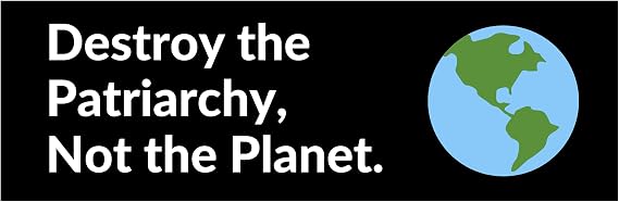 Destroy The Patriarchy Not The Planet Waterproof Vinyl Bumper Sticker for Cars Trucks Laptop