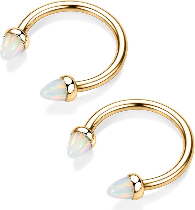 2PCS 16G Septum Ring Titanium Horseshoe Septum Nose Ring Internally Threaded Helix Earrings G23 Daith Piercing Jewelry Cartilage Rook Lobe Conch Earrings Lip Eyebrow Piercing Jewelry 8mm 10mm 12mm